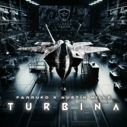 Cover of TURBINA