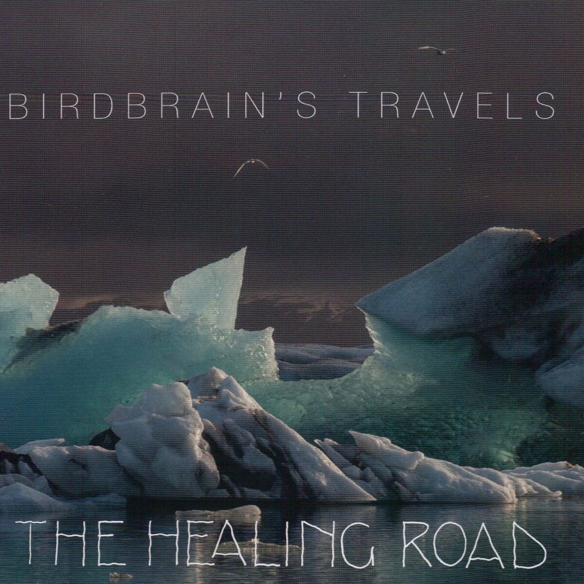 Album cover of Birdbrain's Travels