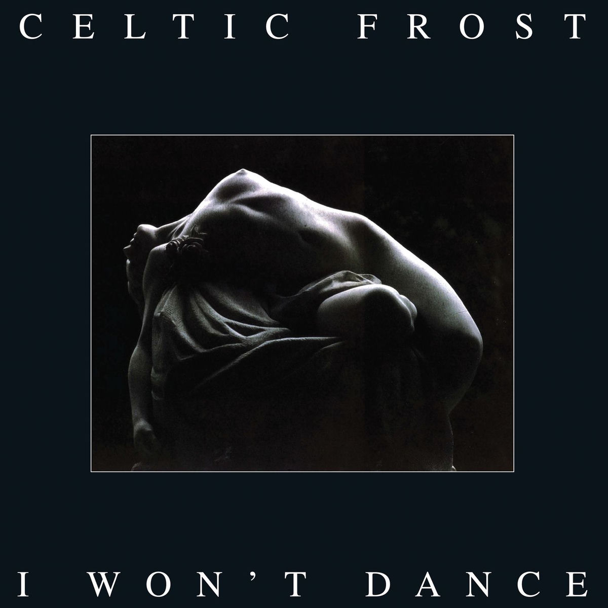 Album cover of I Won't Dance
