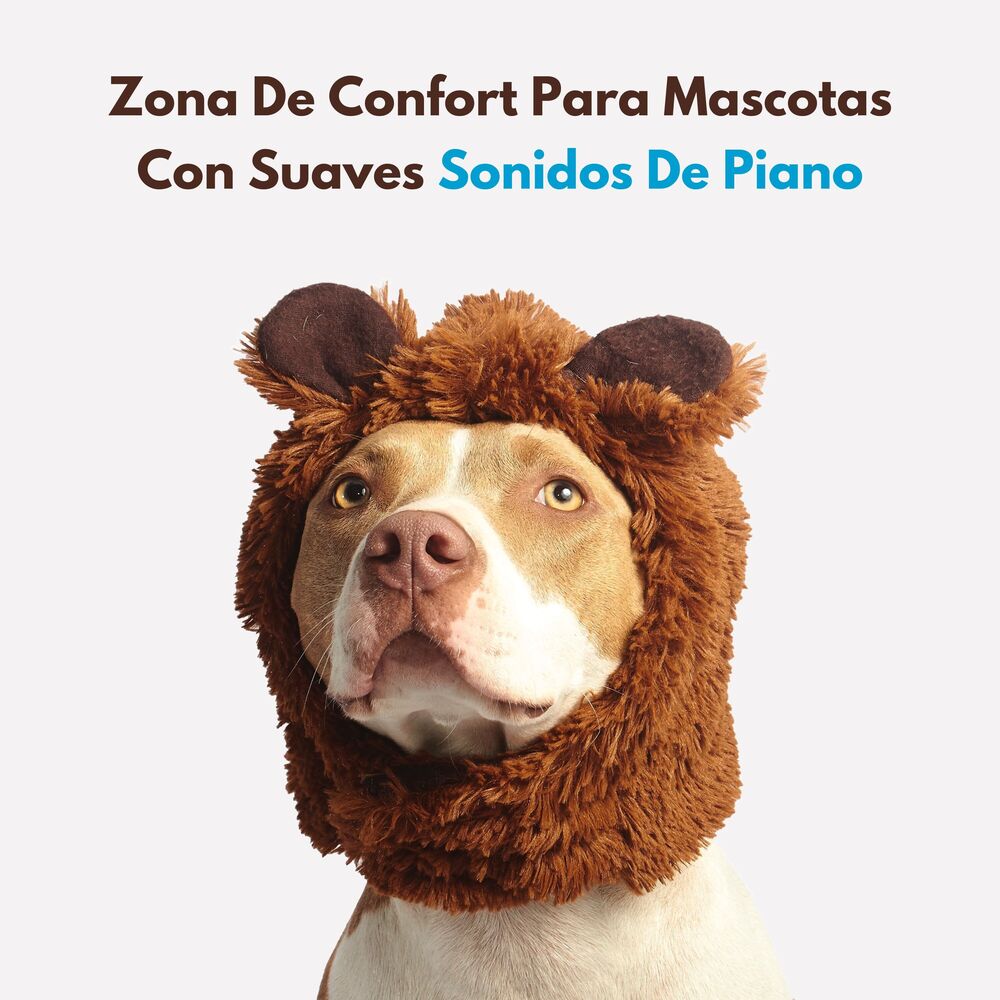Picture of Zona De Confort Para Mascotas Con Suaves Sonidos De Piano