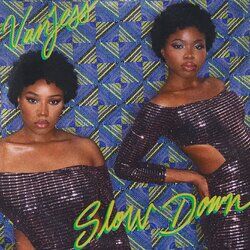 Cover of Slow Down