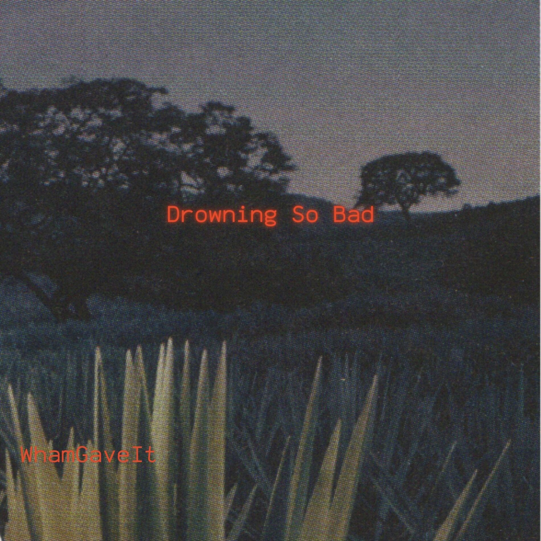 Album cover of Drowning So Bad
