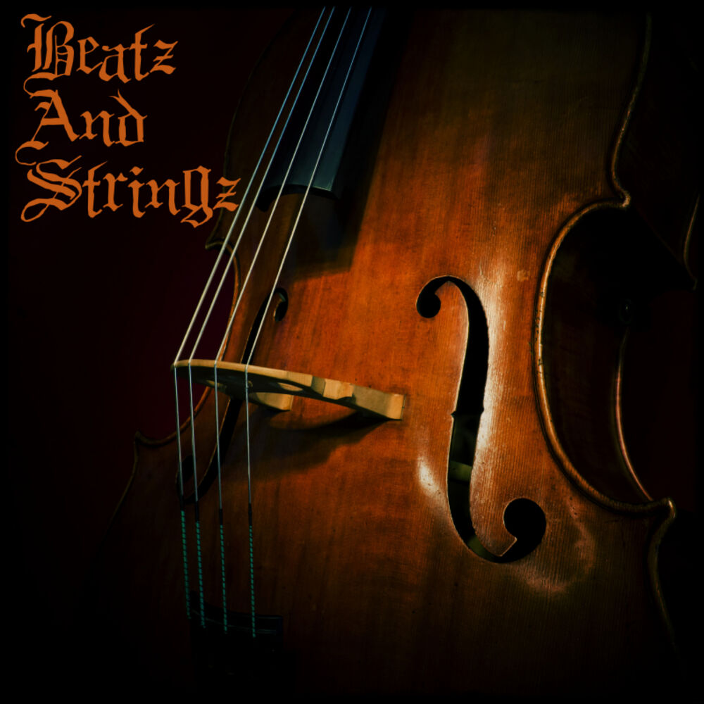 Picture of Beatz And Strings