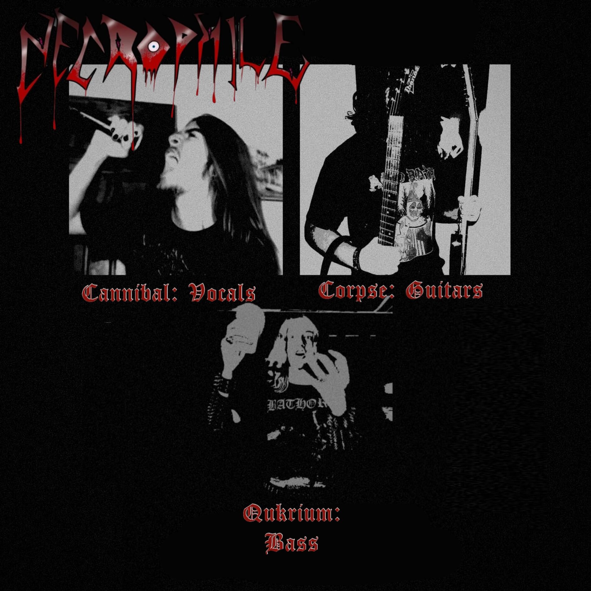 Album cover of Necrophile