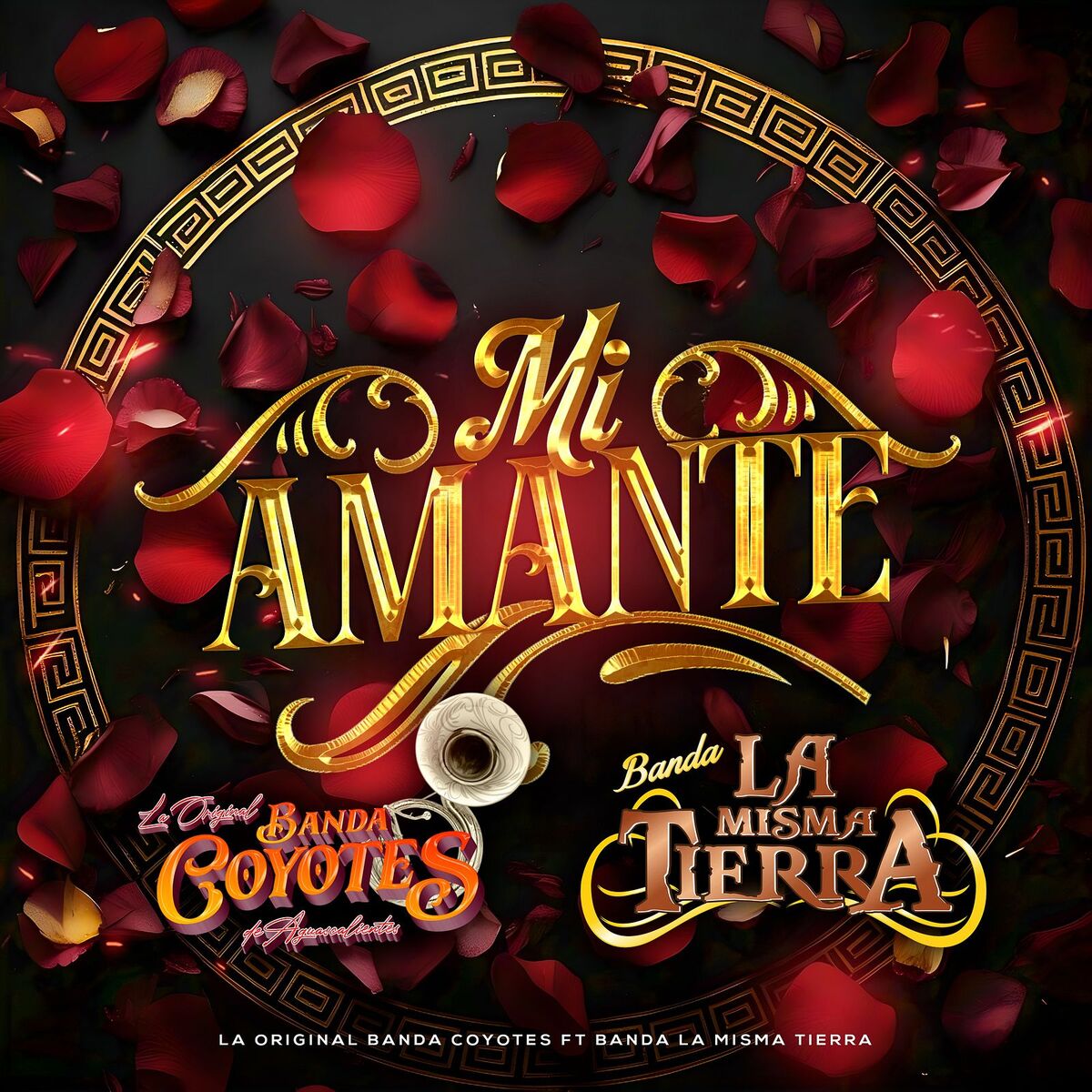 Album cover of Mi Amante
