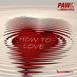 Cover of How To Love (feat. Monika Kurza)