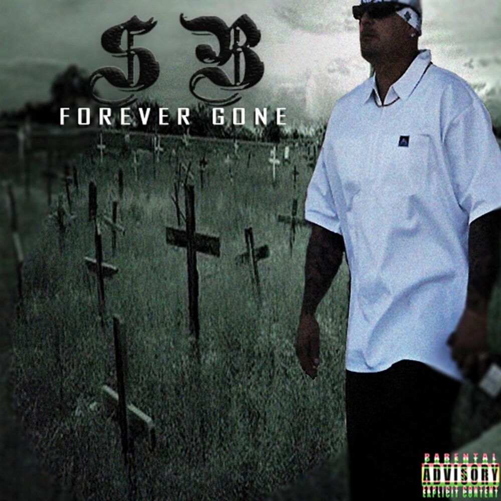 Picture of Forever Gone