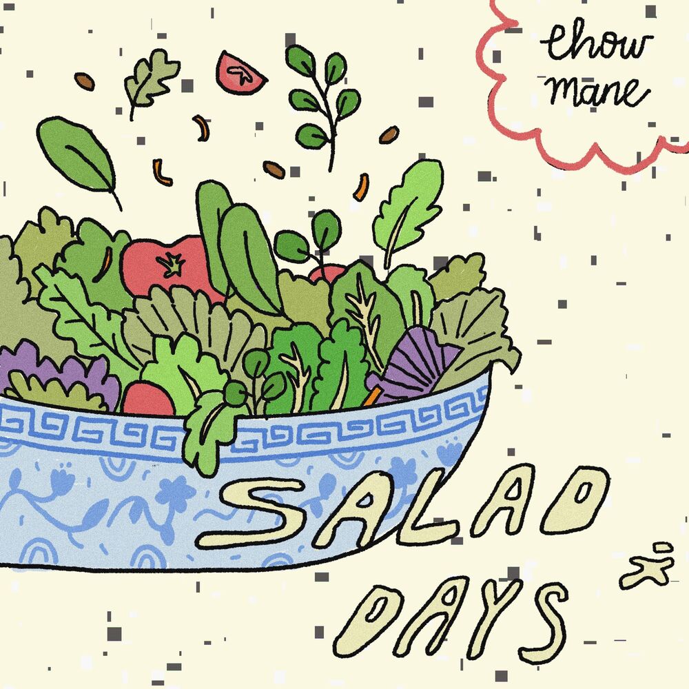 Picture of salad days