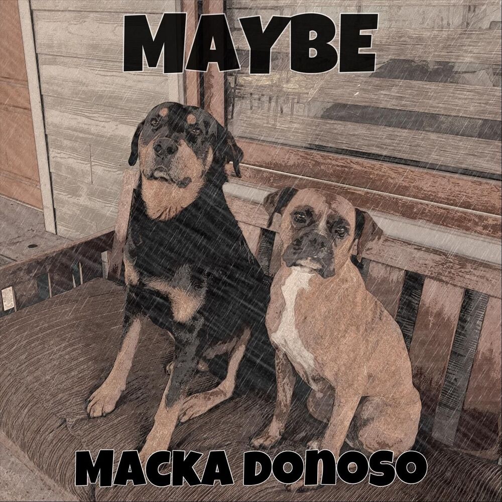 Picture of Maybe