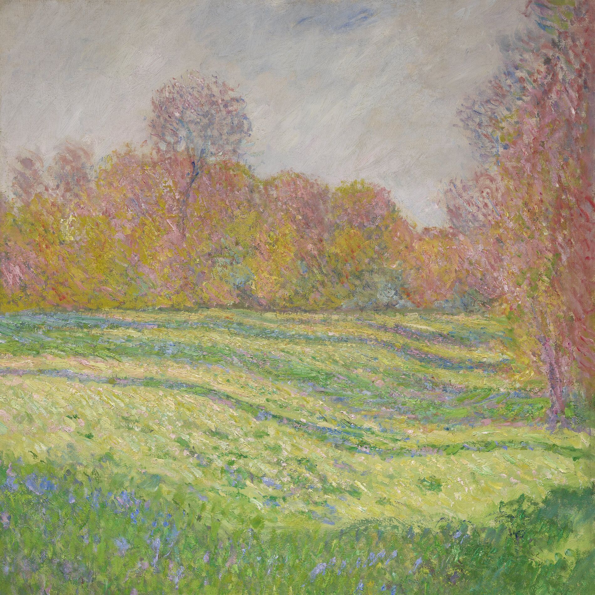 Album cover of As We Bloom
