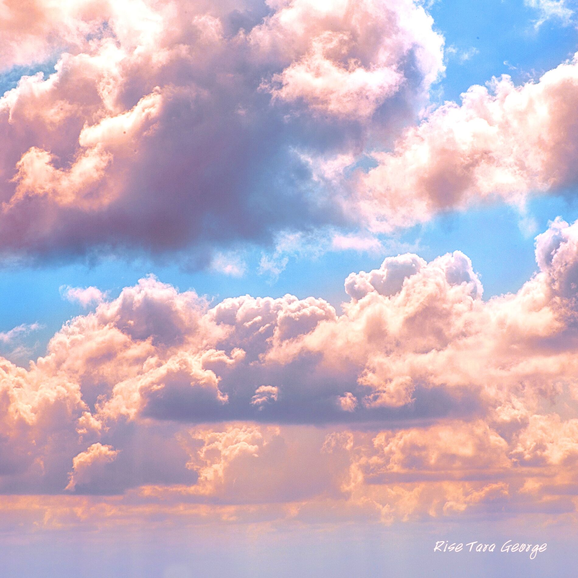 Album cover of Rise