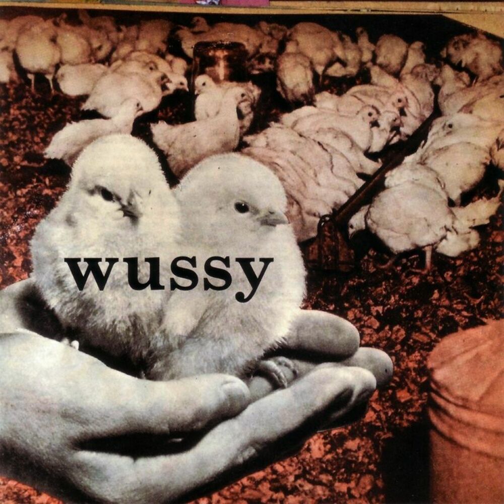 Picture of Wussy