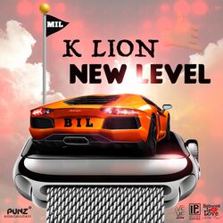 Cover of Level Up