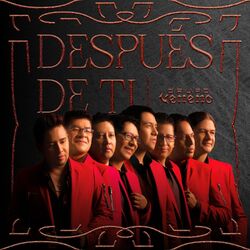 Cover of Después de tí (Versión Grupo Veneno)