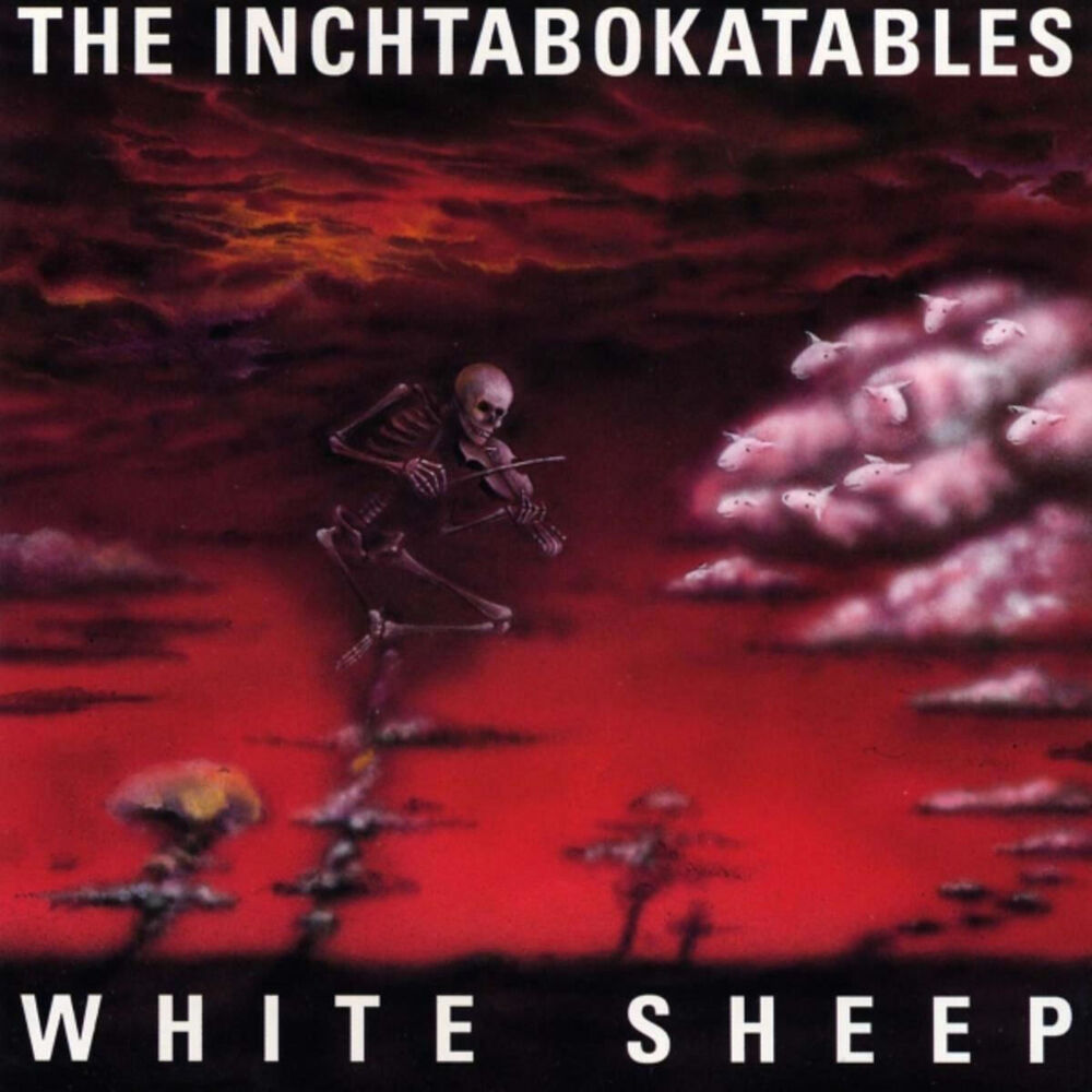 Picture of White Sheep