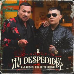 Mi Despedida