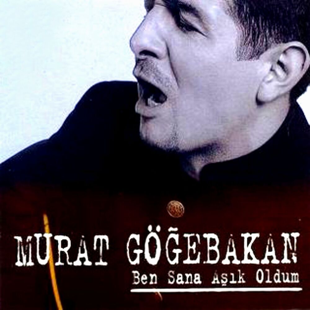 Picture of Ben Sana Aşık Oldum