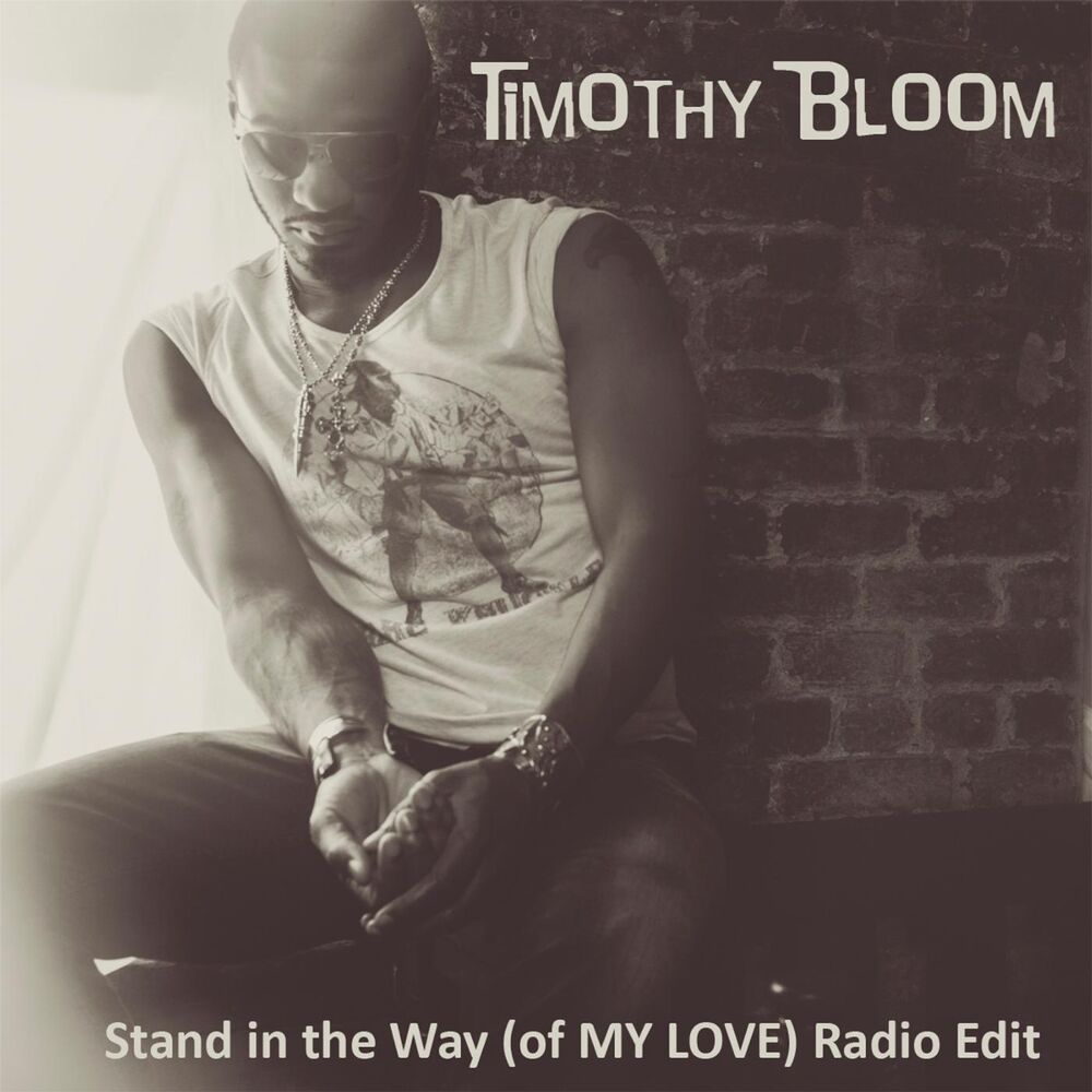 Picture of Stand in the Way (Of My Love) [Radio Edit]