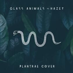 Cover of Hazey