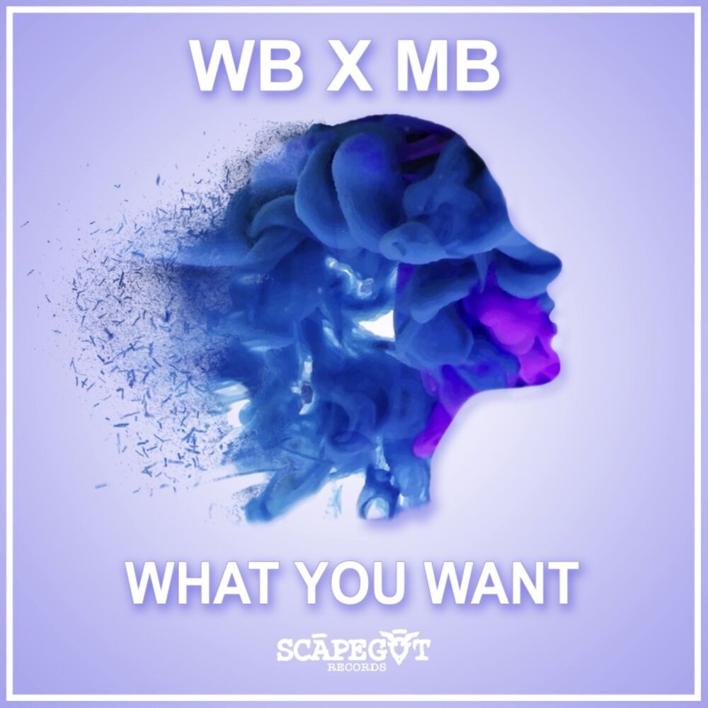 Picture of What You Want