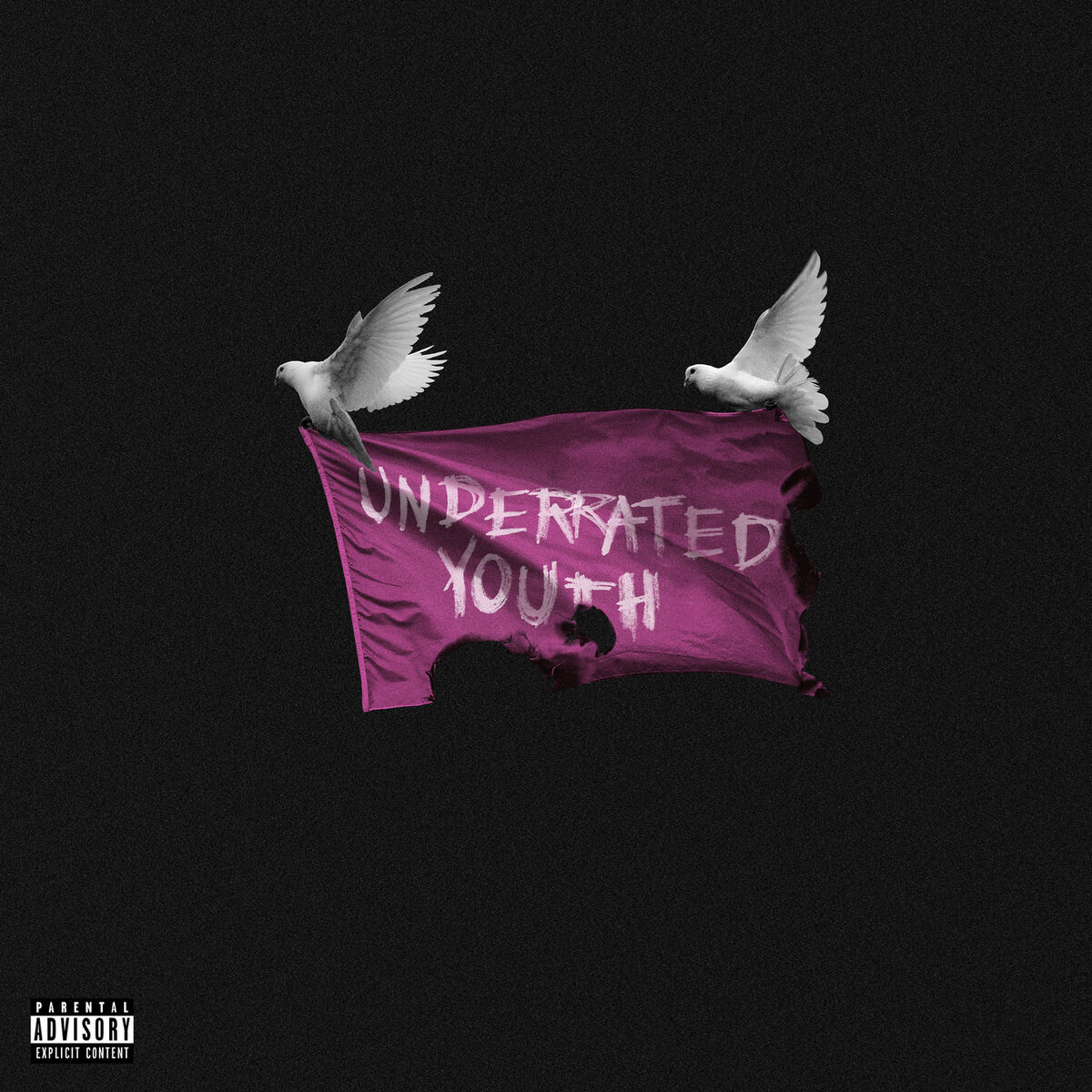 Album cover of hope for the underrated youth