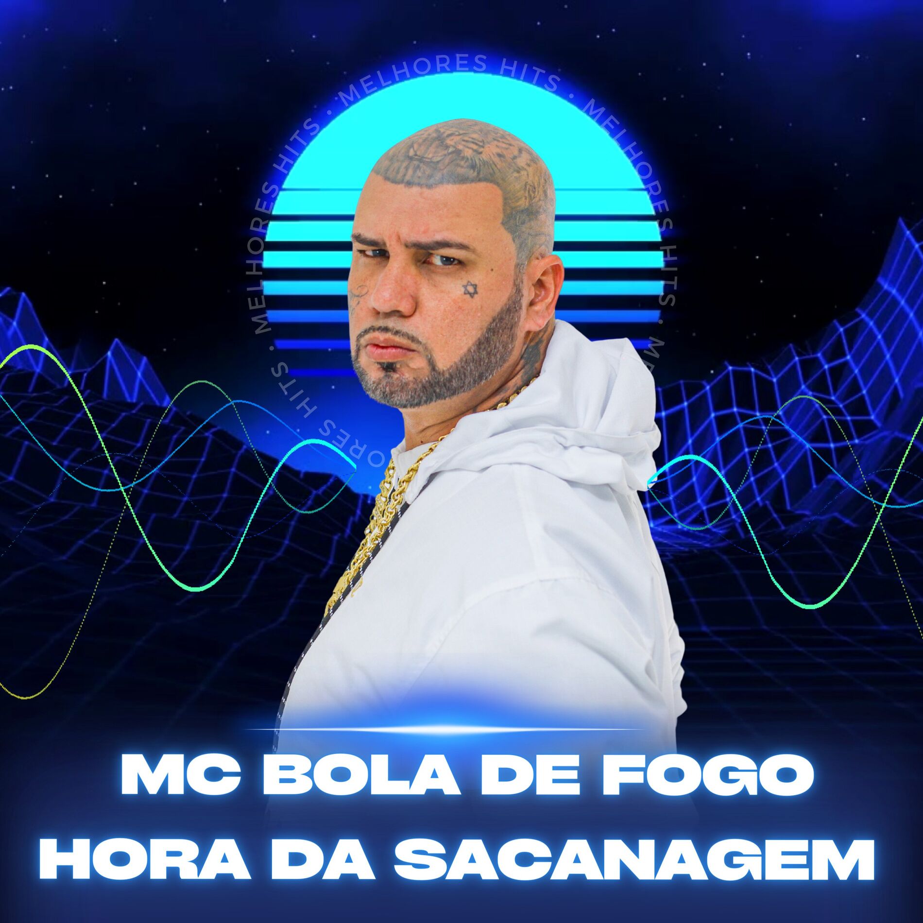 Album cover of HORA DA SACANAGEM