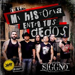 Cover of Mi Historia Entres Tus Dedos (En Vivo)