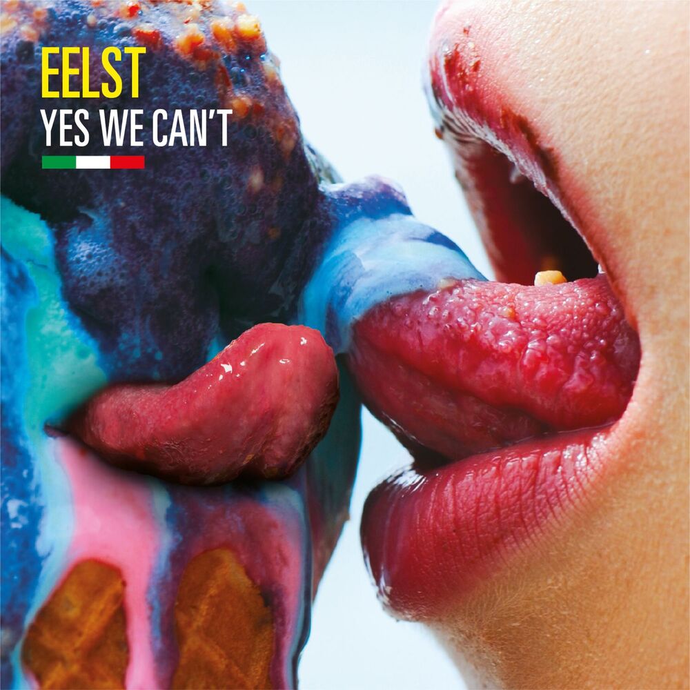 Picture of Yes We Can't