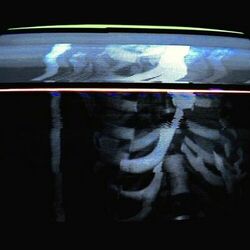 Cover of CARCASS