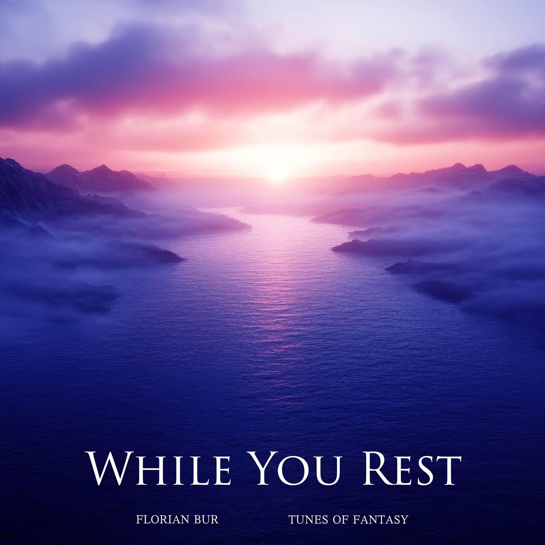 Album cover of While You Rest