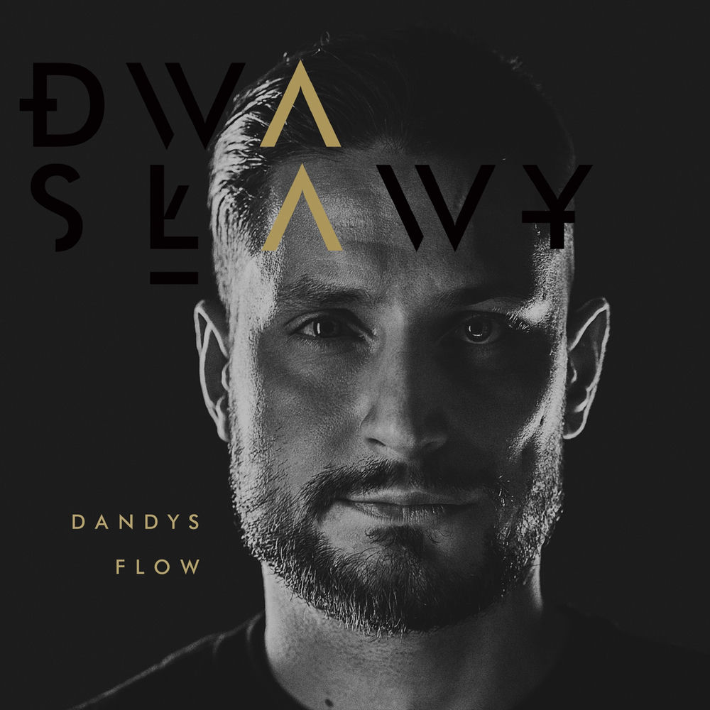 Dandys Flow album cover