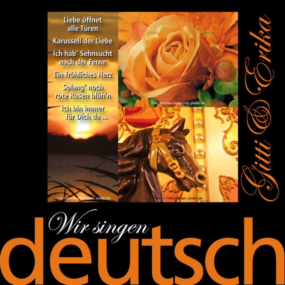 Picture of Wir singen deutsch - Liebe öffnet alle Türen