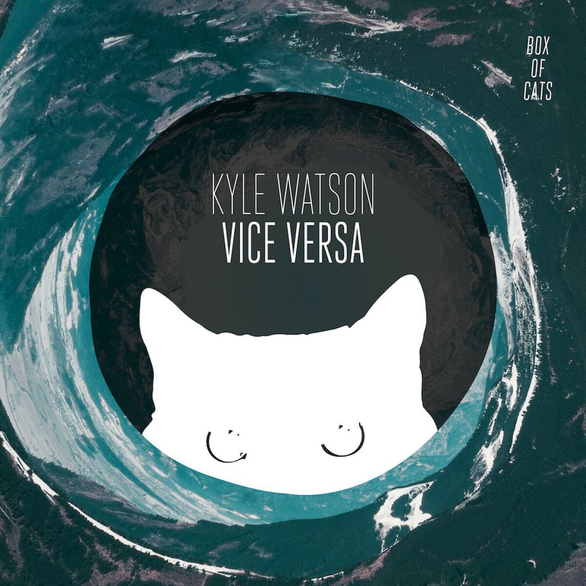Album cover of Vice Versa