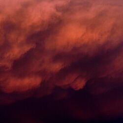 Cover of Heat Lightning