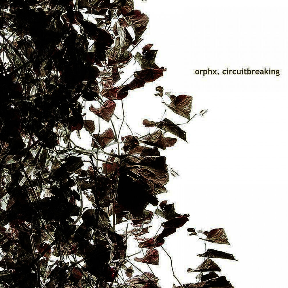 Picture of Circuitbreaking