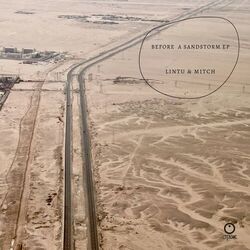 Cover of Before a Sandstorm
