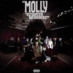 Molly And Her Week Of Wonders