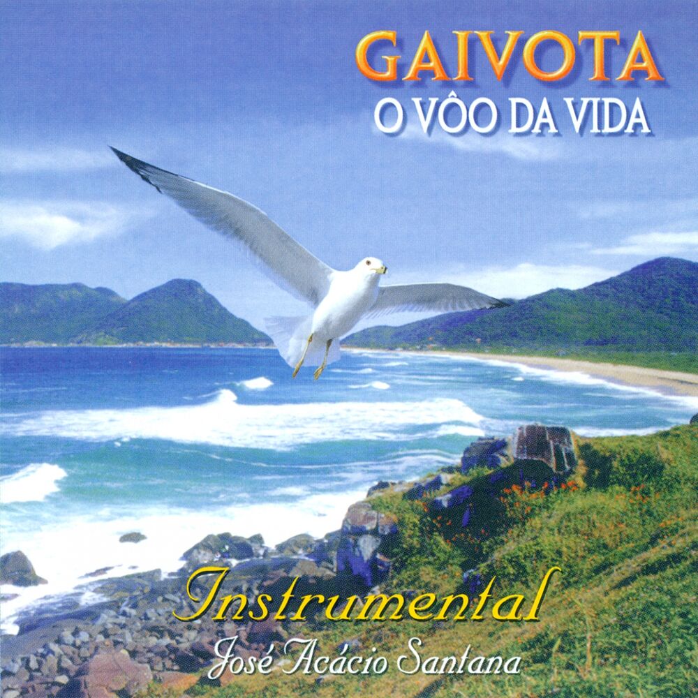 Picture of Gaivota, o Vôo da Vida (Instrumental)