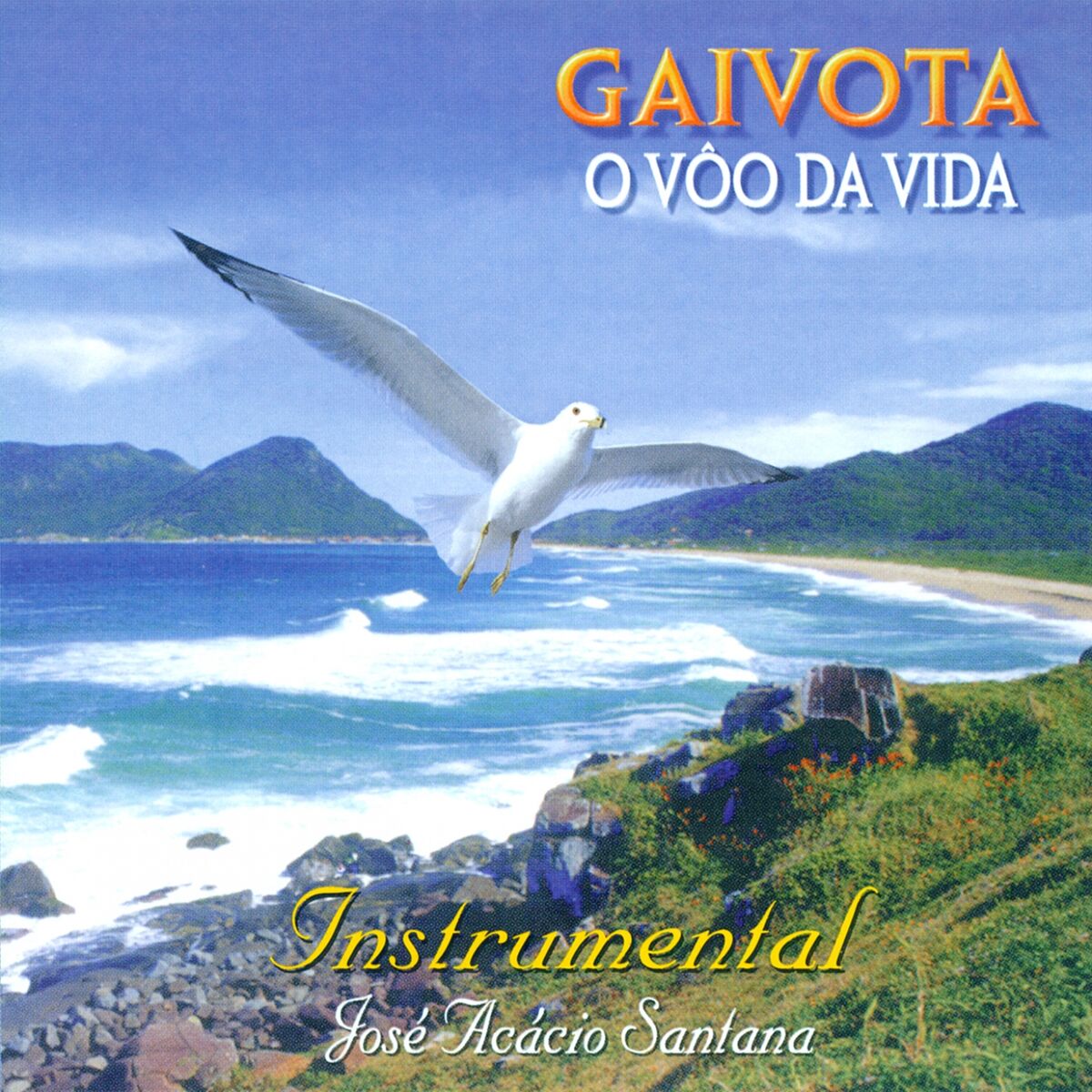 Album cover of Gaivota, o Vôo da Vida (Instrumental)