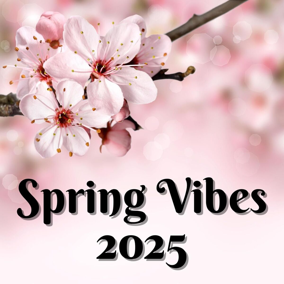 Album cover of Spring Vibes 2025
