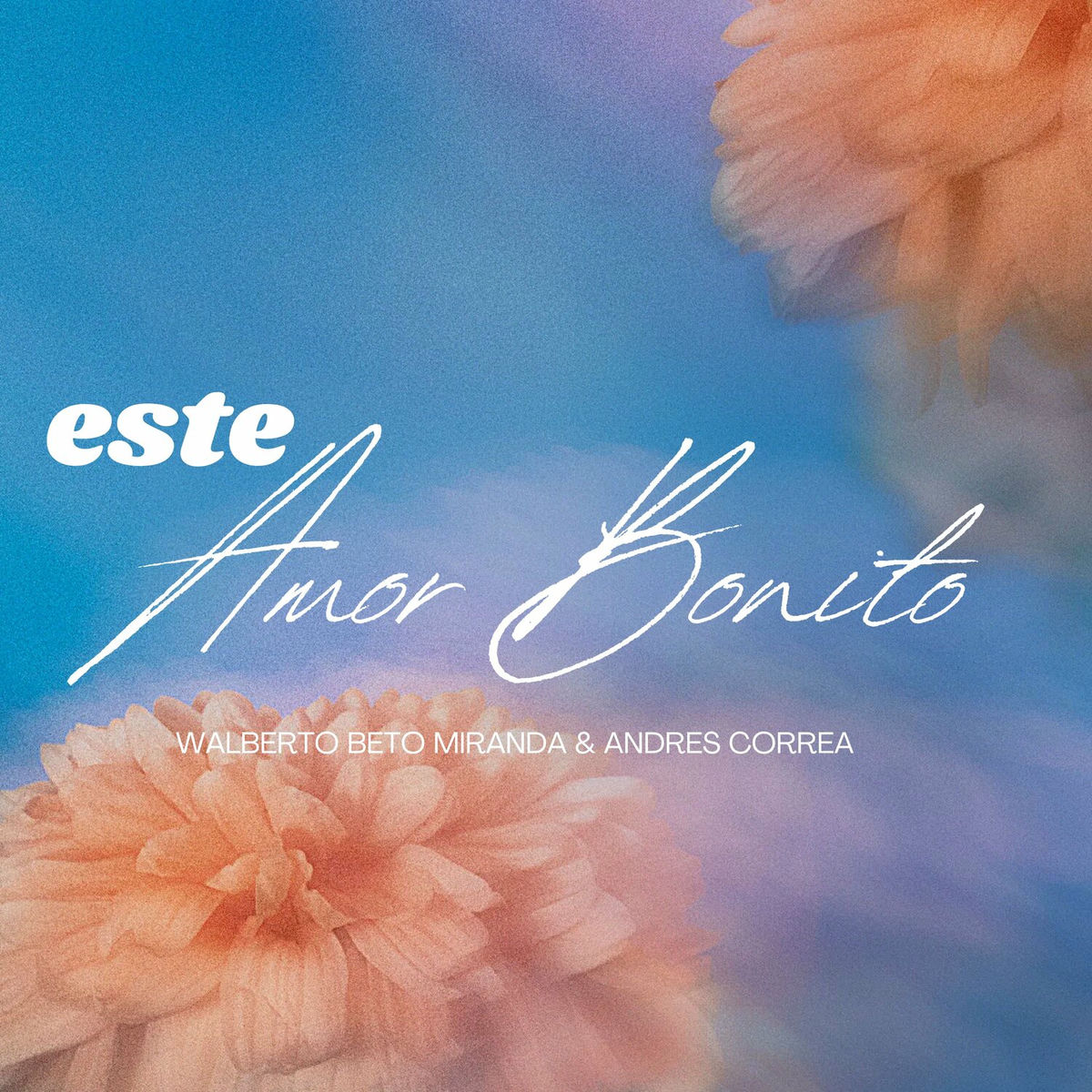 Album cover of Este Amor Bonito