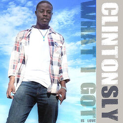 Cover of What I Got Is Love