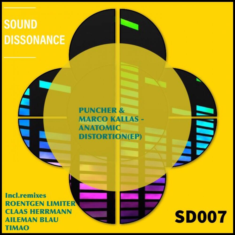 Picture of Anatomic Distortion