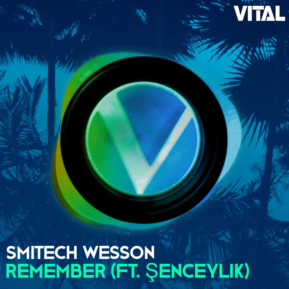 Picture of Remember (feat. Şenceylik)