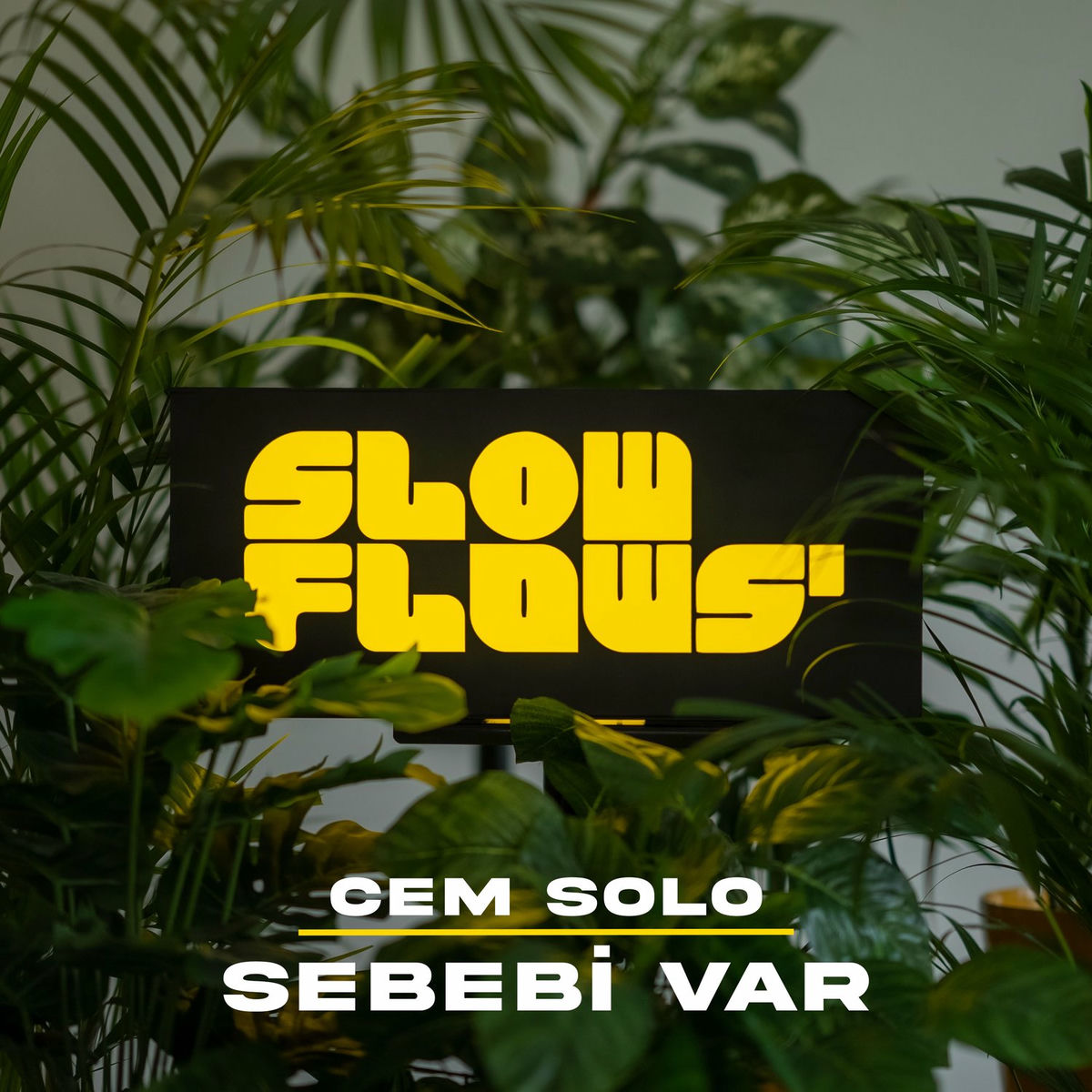 Album cover of Sebebi Var