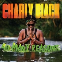 Cover of So Many Reasons
