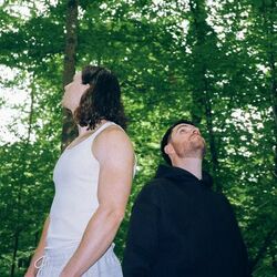 Cover of The Forest (Remixes)