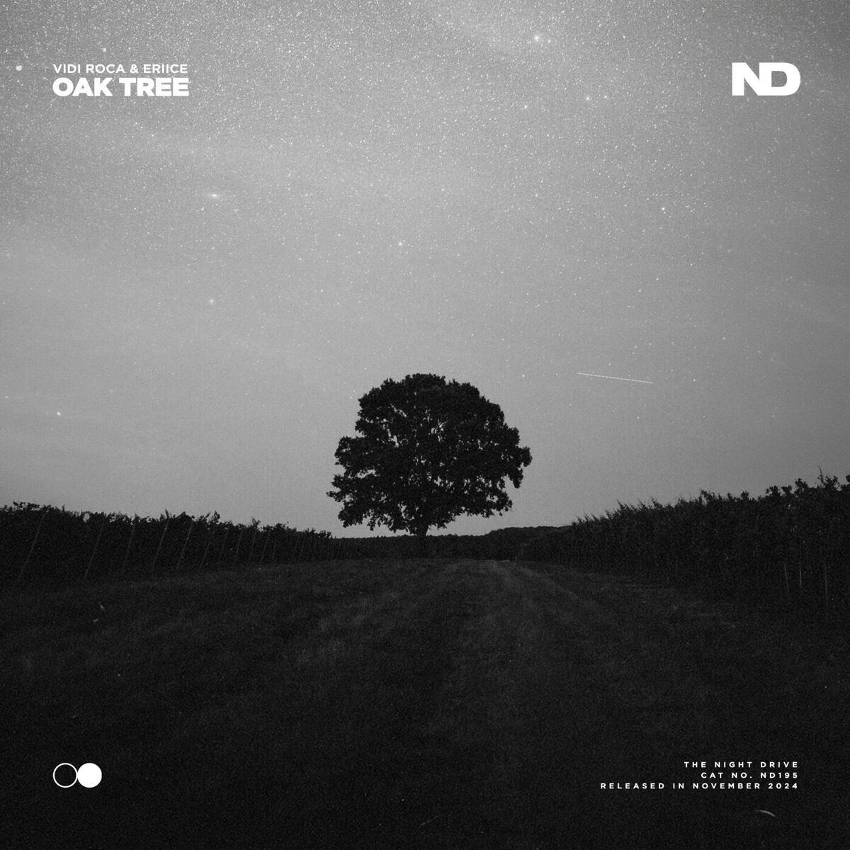 Album cover of Oak Tree