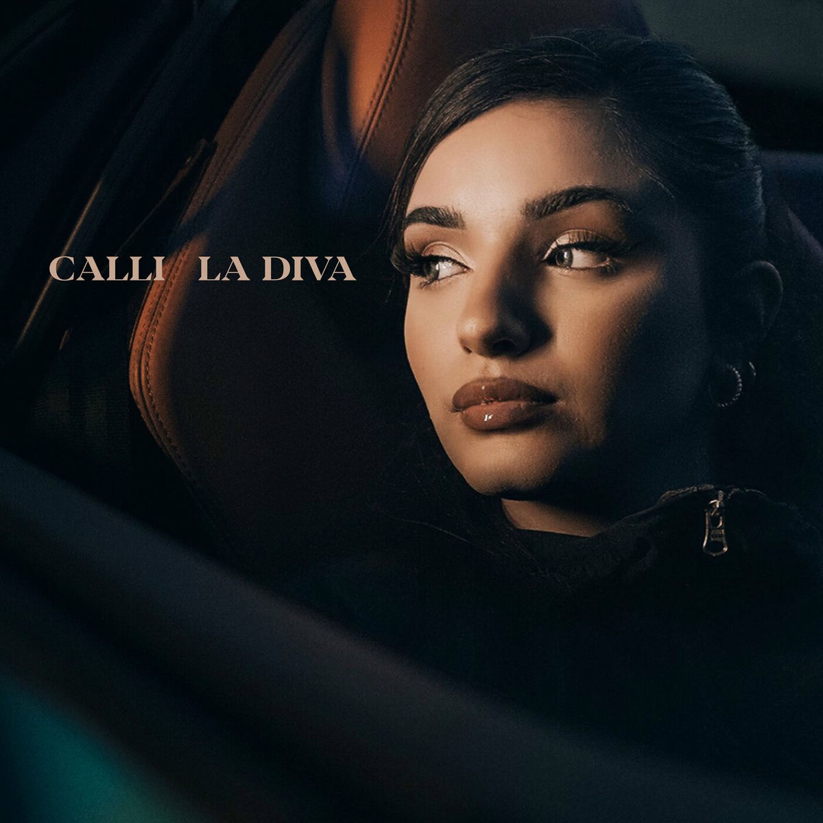 Album cover of La Diva