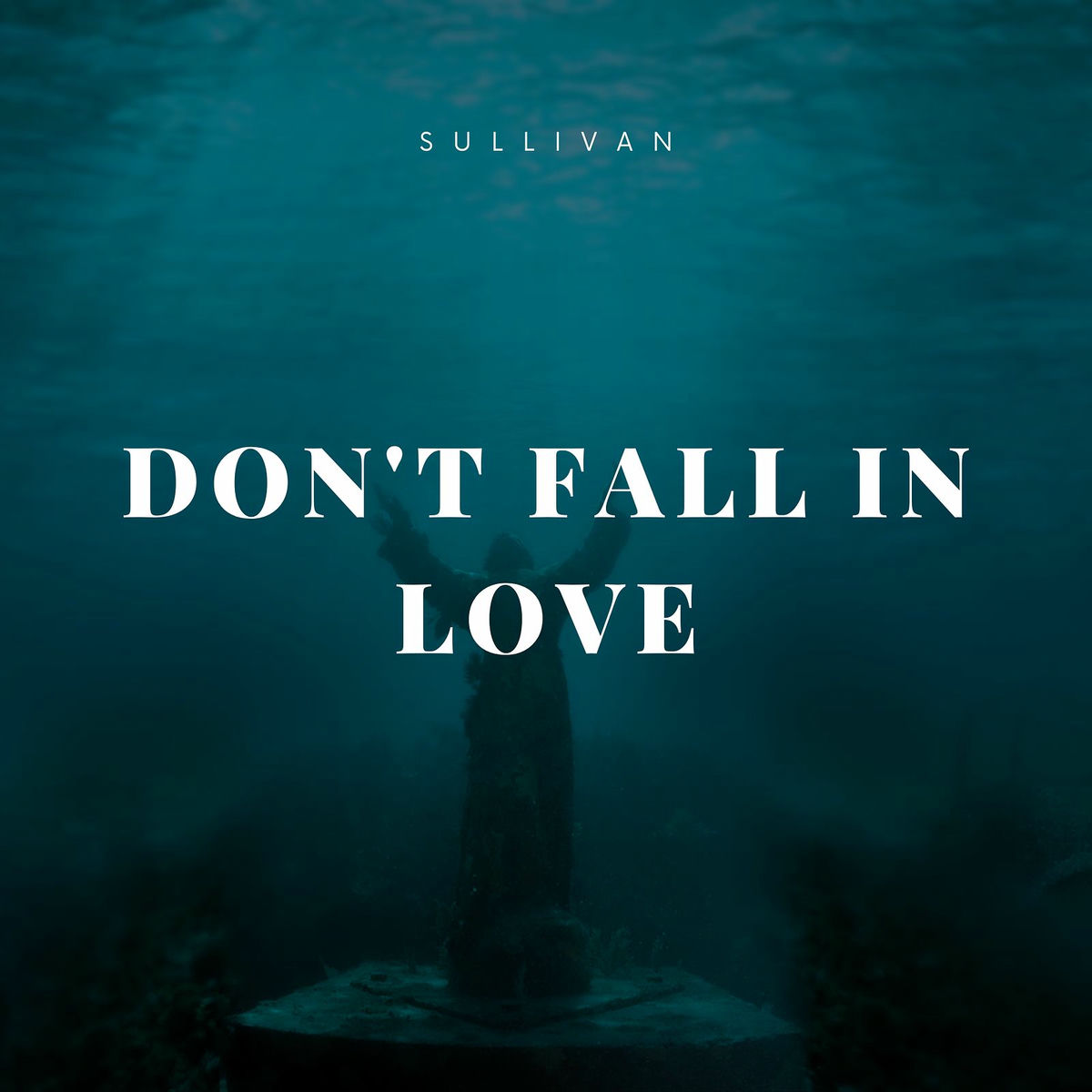 Album cover of Don't fall in love